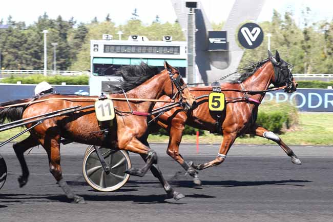 Photo d'arrivée de la course pmu PRIX DE LAVAUR à PARIS-VINCENNES le Jeudi 30 avril 2026