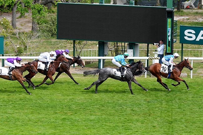 Photo d'arrivée de la course pmu PRIX LA BELLE II à SAINT CLOUD le Vendredi 1 mai 2026
