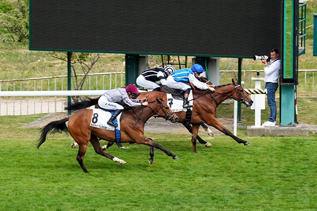 Photo d'arrivée de la course pmu PRIX FOURIRE à SAINT CLOUD le Vendredi 1 mai 2026