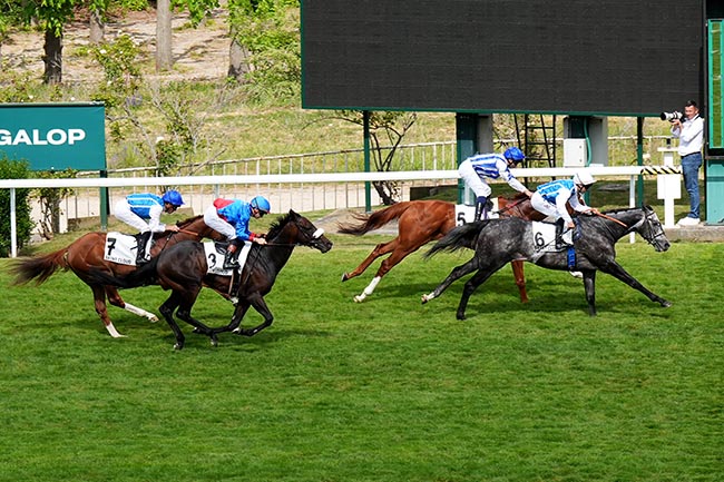 Photo d'arrivée de la course pmu PRIX DU MUGUET à SAINT CLOUD le Vendredi 1 mai 2026