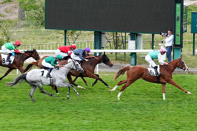 Photo d'arrivée de la course pmu PRIX ALLEZ FRANCE à SAINT CLOUD le Vendredi 1 mai 2026
