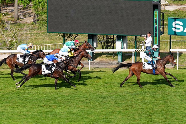 Photo d'arrivée de la course pmu PRIX DU CHATEAU DE BEAUMESNIL à SAINT CLOUD le Vendredi 1 mai 2026