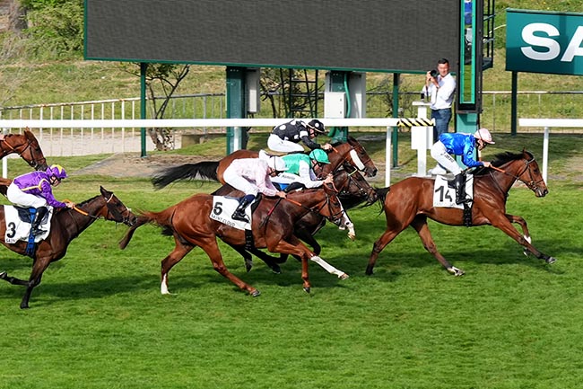 Photo d'arrivée de la course pmu PRIX DE BEAUVAL à SAINT CLOUD le Vendredi 1 mai 2026