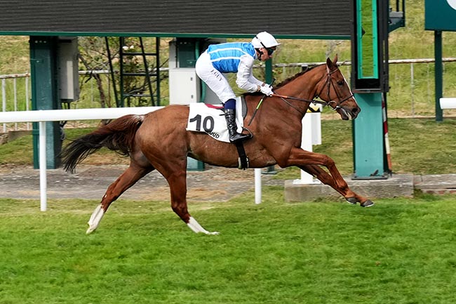 Photo d'arrivée de la course pmu PRIX PAUL-NOEL DELAHOUTRE - TROPHEE STUDIO HARCOURT à SAINT CLOUD le Vendredi 1 mai 2026