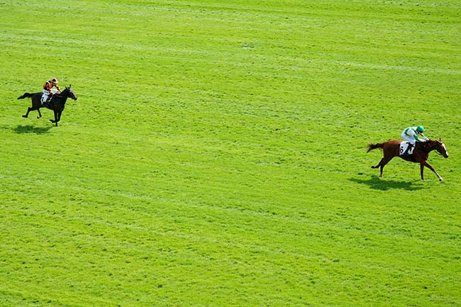 Photo d'arrivée de la course pmu PRIX VIEUX BEAUFAI à AUTEUIL le Samedi 2 mai 2026
