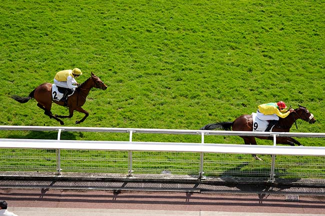 Photo d'arrivée de la course pmu PRIX DE LA VANOISE à AUTEUIL le Samedi 2 mai 2026