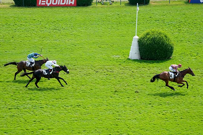 Photo d'arrivée de la course pmu PRIX ANDREA à AUTEUIL le Samedi 2 mai 2026