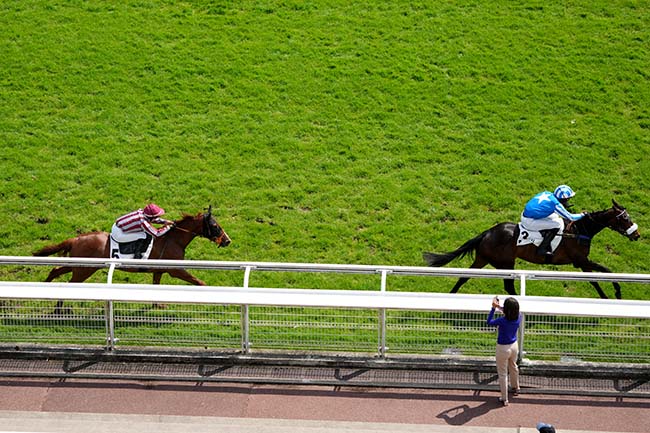 Photo d'arrivée de la course pmu PRIX BURGRAVE II à AUTEUIL le Samedi 2 mai 2026