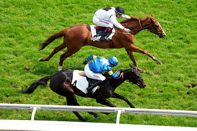 Photo d'arrivée de la course pmu PRIX D'ARLES à AUTEUIL le Samedi 2 mai 2026