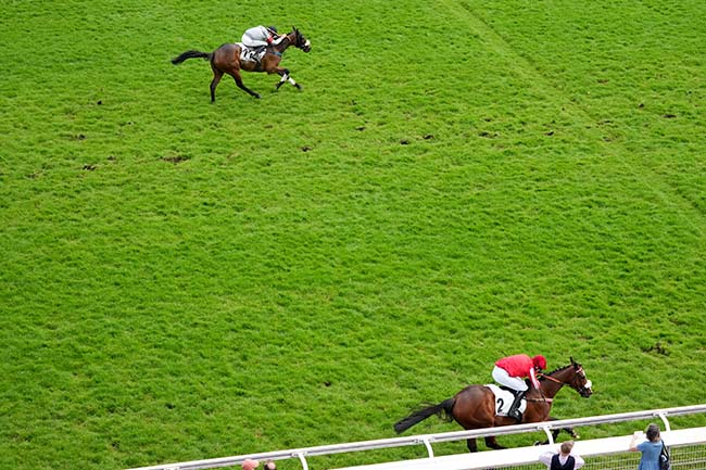 Photo d'arrivée de la course pmu PRIX ARTHUR VEIL-PICARD à AUTEUIL le Samedi 2 mai 2026