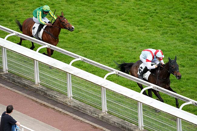 Photo d'arrivée de la course pmu PRIX QUOMODO à AUTEUIL le Samedi 2 mai 2026