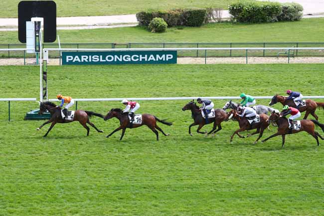 Photo d'arrivée de la course pmu PRIX DE LA ROQUETTE à LONGCHAMP le Dimanche 3 mai 2026