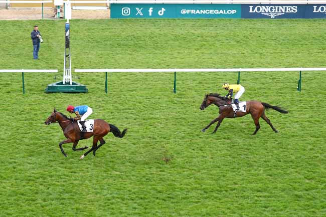 Photo d'arrivée de la course pmu PRIX D'HEDOUVILLE à LONGCHAMP le Dimanche 3 mai 2026