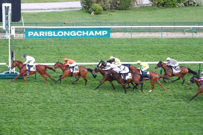Photo d'arrivée de la course pmu PRIX DE LA FOLIE MERICOURT à LONGCHAMP le Dimanche 3 mai 2026