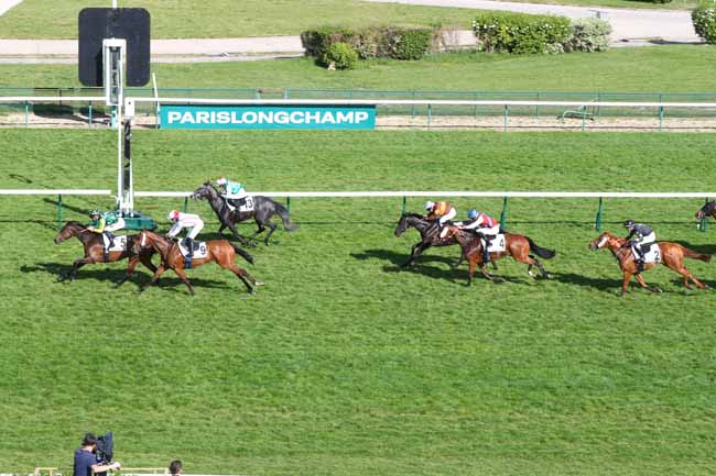 Photo d'arrivée de la course pmu PRIX DE POPINCOURT à LONGCHAMP le Dimanche 3 mai 2026