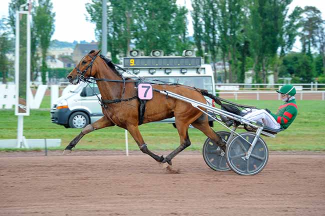 Photo d'arrivée de la course pmu PRIX DE SANSSAT à VICHY le Lundi 4 mai 2026