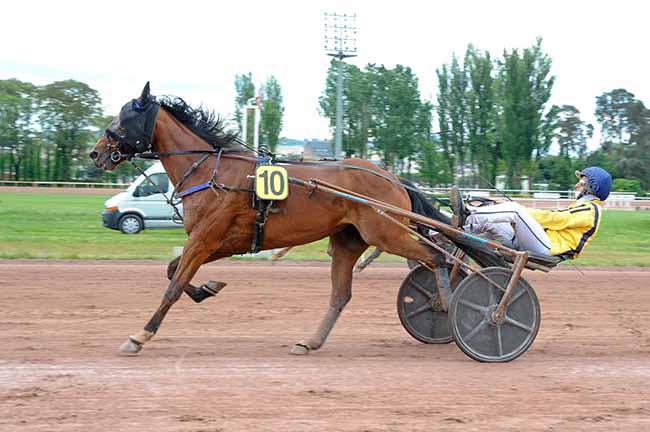 Photo d'arrivée de la course pmu PRIX DU VERNET à VICHY le Lundi 4 mai 2026