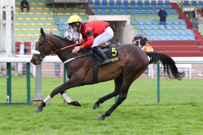 Photo d'arrivée de la course pmu PRIX TERI AC à COMPIEGNE le Lundi 4 mai 2026