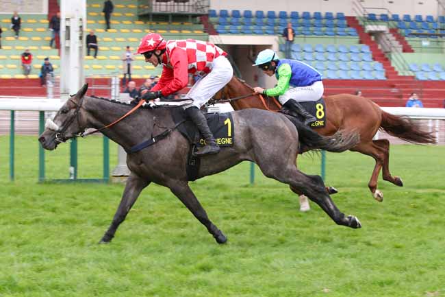 Photo d'arrivée de la course pmu PRIX GACKO à COMPIEGNE le Lundi 4 mai 2026