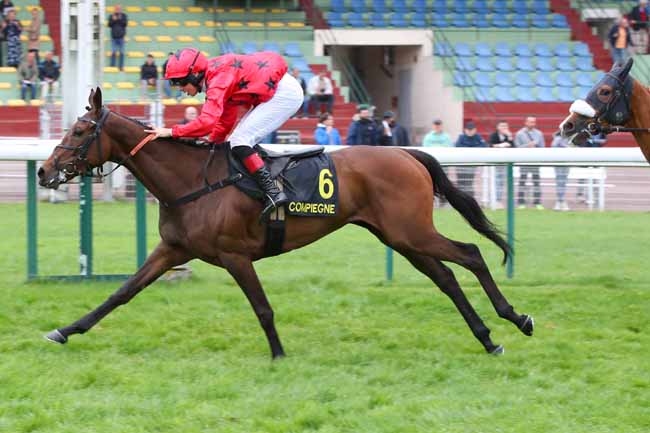 Photo d'arrivée de la course pmu PRIX MIROR à COMPIEGNE le Lundi 4 mai 2026