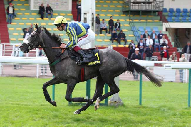 Photo d'arrivée de la course pmu PRIX DU GRAND MAITRE à COMPIEGNE le Lundi 4 mai 2026