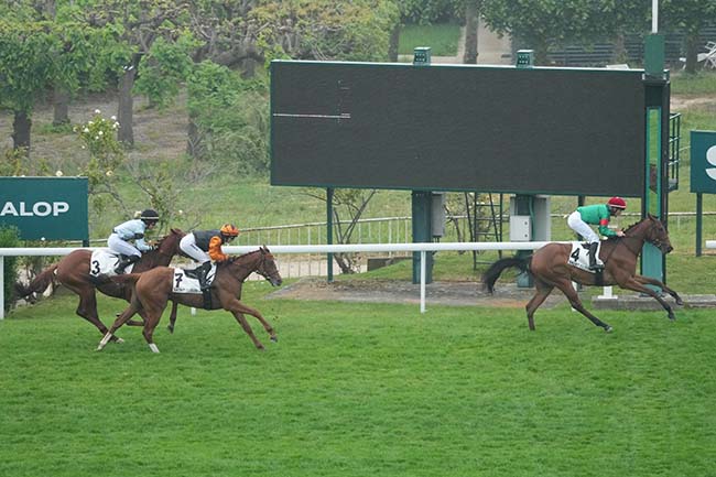 Photo d'arrivée de la course pmu PRIX DU CHATEAU DE MALMAISON à SAINT CLOUD le Mardi 5 mai 2026