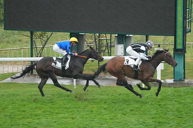 Photo d'arrivée de la course pmu PRIX CADET ROUSSEL à SAINT CLOUD le Mardi 5 mai 2026