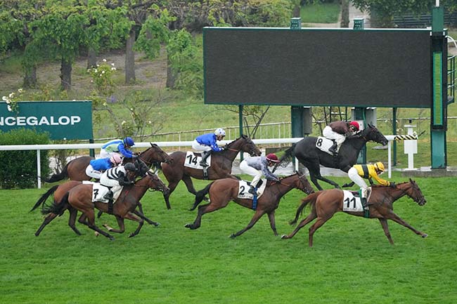 Photo d'arrivée de la course pmu PRIX CALANDRIA à SAINT CLOUD le Mardi 5 mai 2026