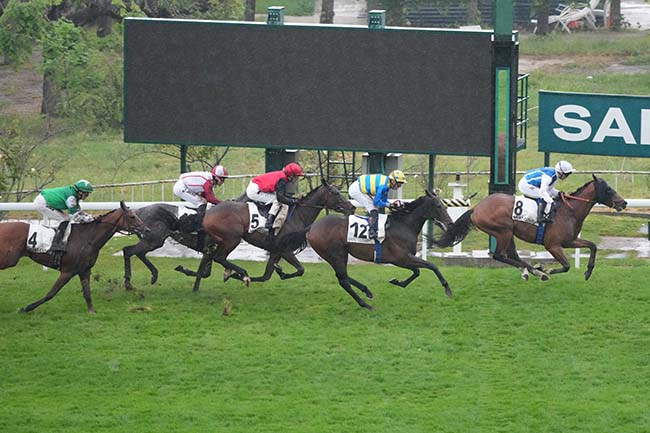 Photo d'arrivée de la course pmu PRIX DE LA CROIX BLANCHE à SAINT CLOUD le Mardi 5 mai 2026