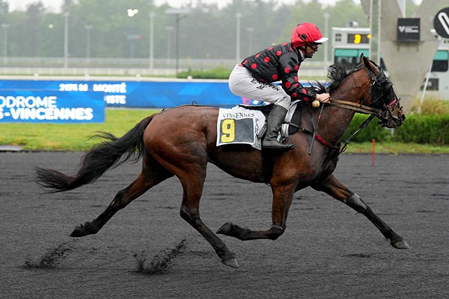 Photo d'arrivée de la course pmu PRIX NIOBE à PARIS-VINCENNES le Mardi 5 mai 2026