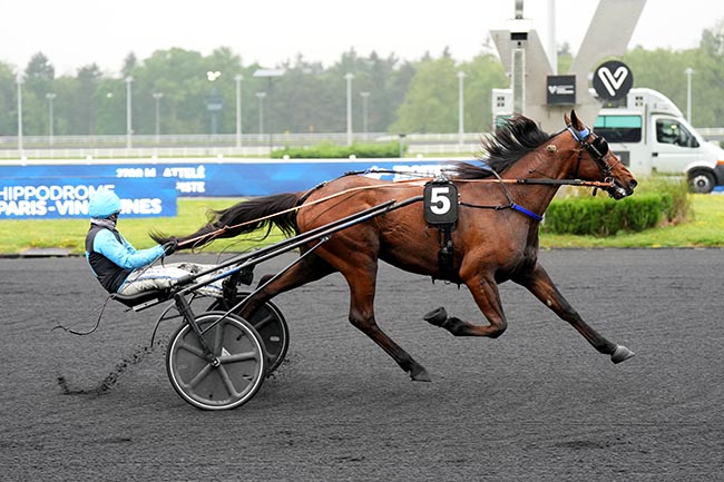 Photo d'arrivée de la course pmu PRIX DE MAMERS à PARIS-VINCENNES le Mardi 5 mai 2026