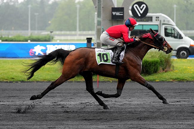 Photo d'arrivée de la course pmu PRIX HERSILIA à PARIS-VINCENNES le Mardi 5 mai 2026
