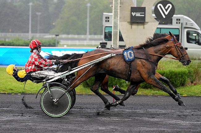 Photo d'arrivée de la course pmu PRIX ANTARES à PARIS-VINCENNES le Mardi 5 mai 2026