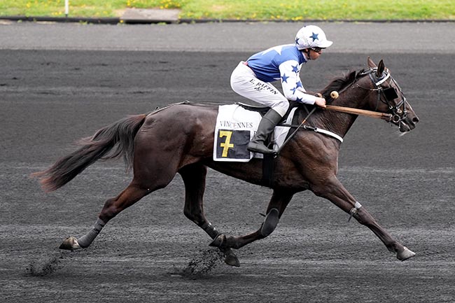 Photo d'arrivée de la course pmu PRIX DE DURBAN à PARIS-VINCENNES le Mercredi 6 mai 2026