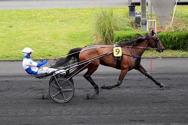 Photo d'arrivée de la course pmu PRIX DE SARTENE à PARIS-VINCENNES le Mercredi 6 mai 2026