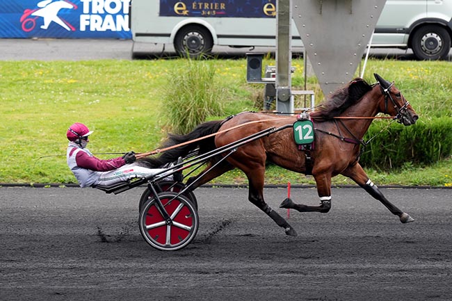Photo d'arrivée de la course pmu PRIX MASINA à PARIS-VINCENNES le Mercredi 6 mai 2026