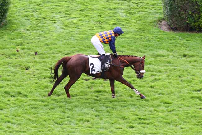 Photo d'arrivée de la course pmu PRIX MAGUELONNE à AUTEUIL le Mercredi 6 mai 2026