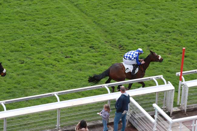 Photo d'arrivée de la course pmu PRIX GILBERT GALLOT à AUTEUIL le Mercredi 6 mai 2026