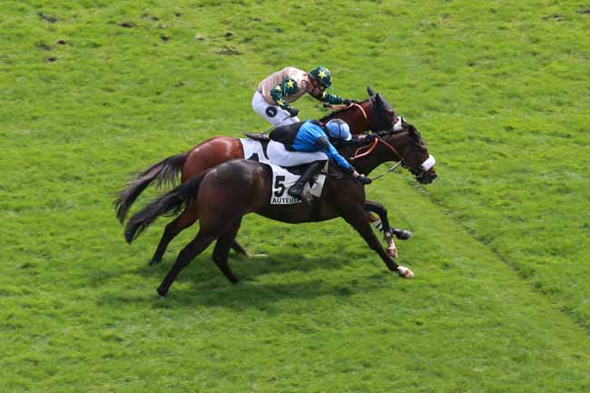 Photo d'arrivée de la course pmu PRIX JAMES HENNESSY à AUTEUIL le Mercredi 6 mai 2026