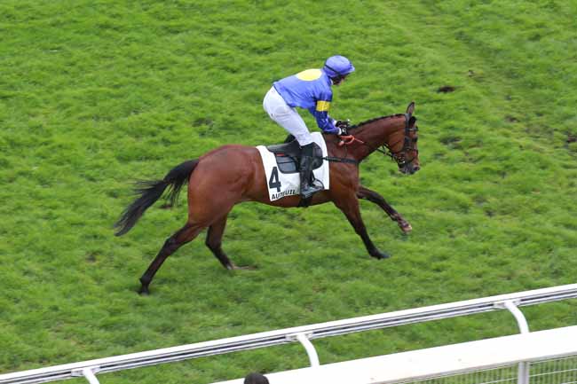 Photo d'arrivée de la course pmu PRIX GALAFRON à AUTEUIL le Mercredi 6 mai 2026