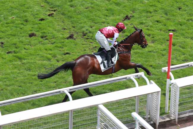 Photo d'arrivée de la course pmu PRIX DU MORBIHAN (CHMPT DES APPRENTIS & JEUNES JOCKEYS) à AUTEUIL le Mercredi 6 mai 2026