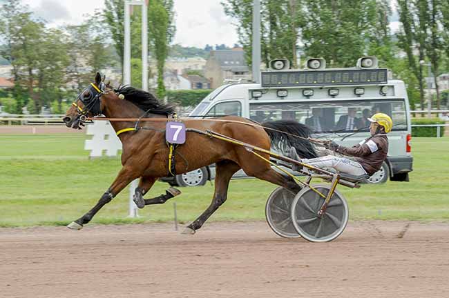 Arrivée quinté pmu PRIX DE MARIGNY à VICHY
