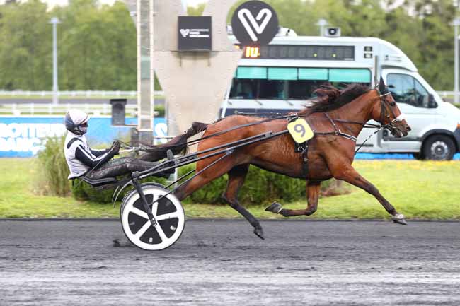 Arrivée quinté pmu PRIX DEJANIRA à PARIS-VINCENNES