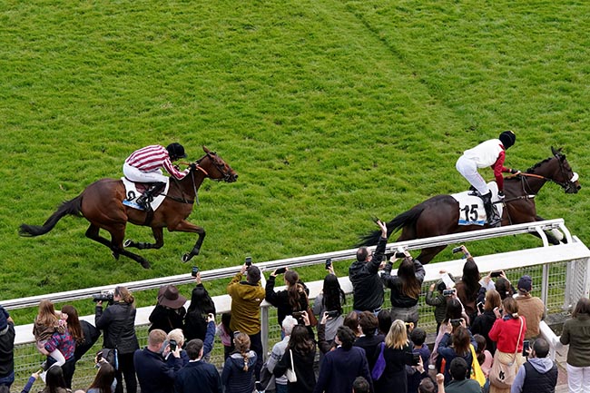 Arrivée quinté pmu PRIX LE PARISIEN (PRIX LE GUALES DE MEZAUBRAN) à AUTEUIL