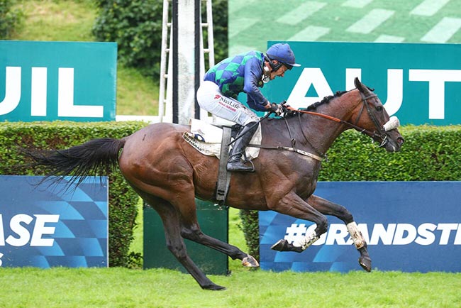 Arrivée quinté pmu LE DEFI DES HARAS - GRAND STEEPLE-CHASE DE PARIS à AUTEUIL