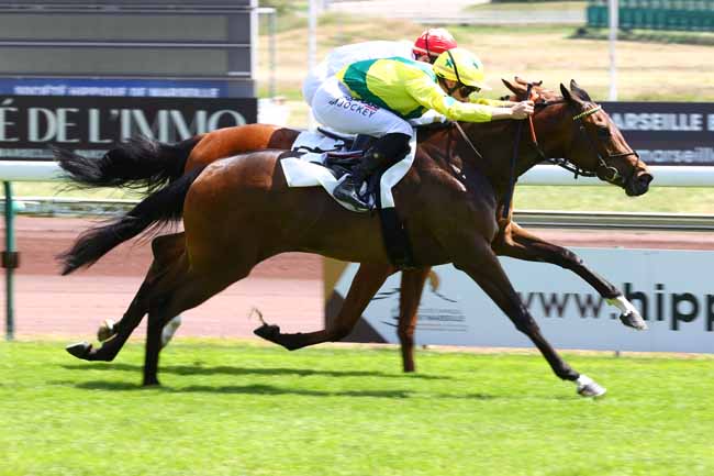 Photo d'arrivée de la course pmu PRIX DU PETIT CERCLE à MARSEILLE BORELY le Lundi 18 mai 2026