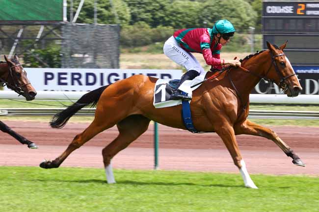 Photo d'arrivée de la course pmu PRIX DES LAURIERS à MARSEILLE BORELY le Lundi 18 mai 2026