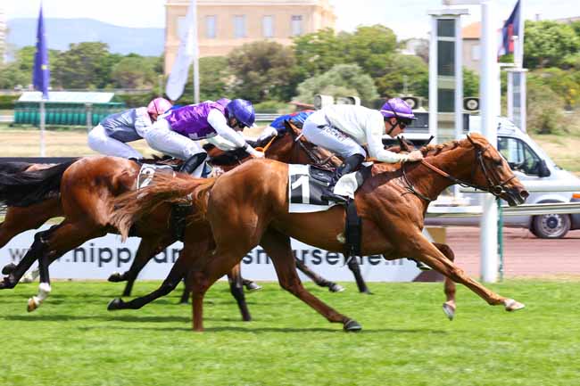 Photo d'arrivée de la course pmu PRIX DE VIEILLE CHAPELLE à MARSEILLE BORELY le Lundi 18 mai 2026