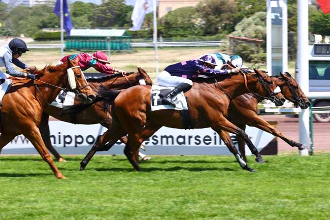 Arrivée quinté pmu PRIX LOUIS BRUNET à MARSEILLE BORELY