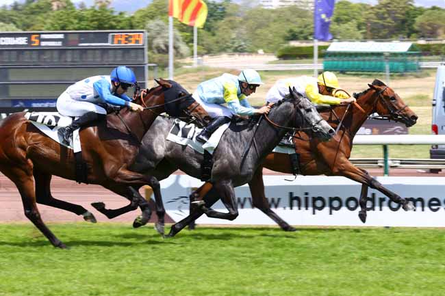 Photo d'arrivée de la course pmu PRIX DU ROVE à MARSEILLE BORELY le Lundi 18 mai 2026